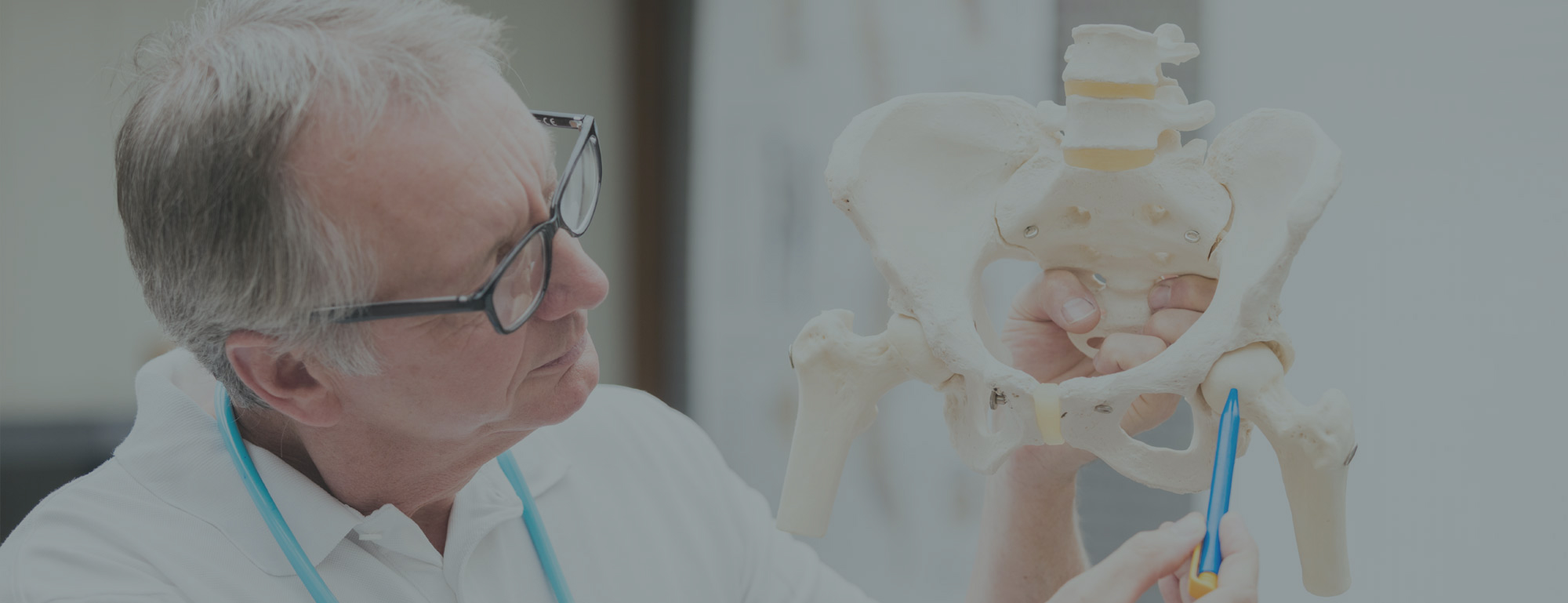 Health Lombardy Pelvis